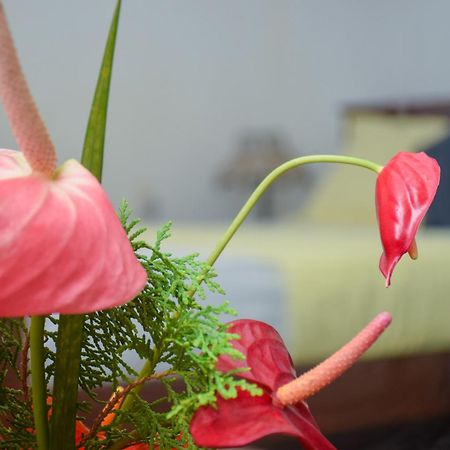 Senu Homestay シギリヤ エクステリア 写真