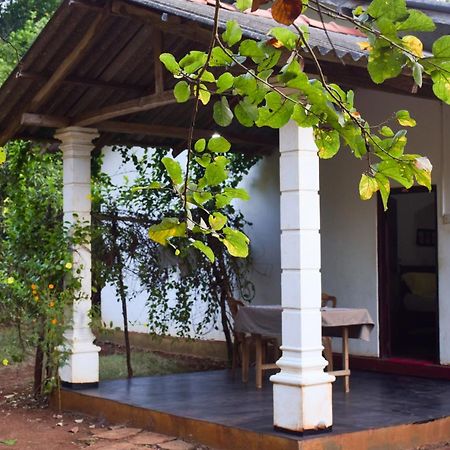Senu Homestay シギリヤ エクステリア 写真