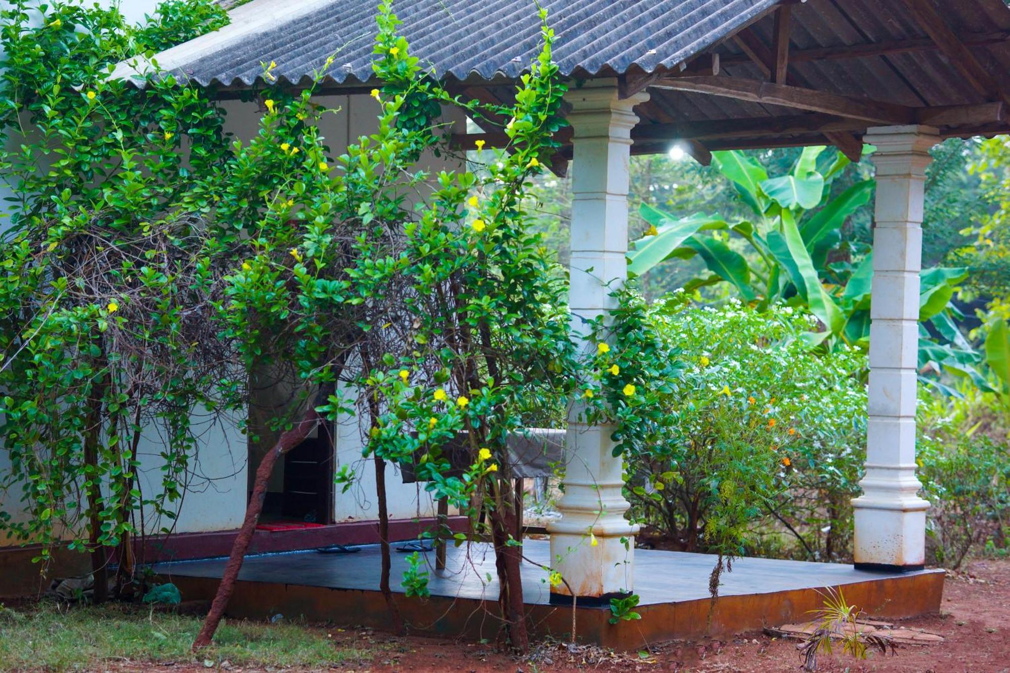 Senu Homestay シギリヤ エクステリア 写真