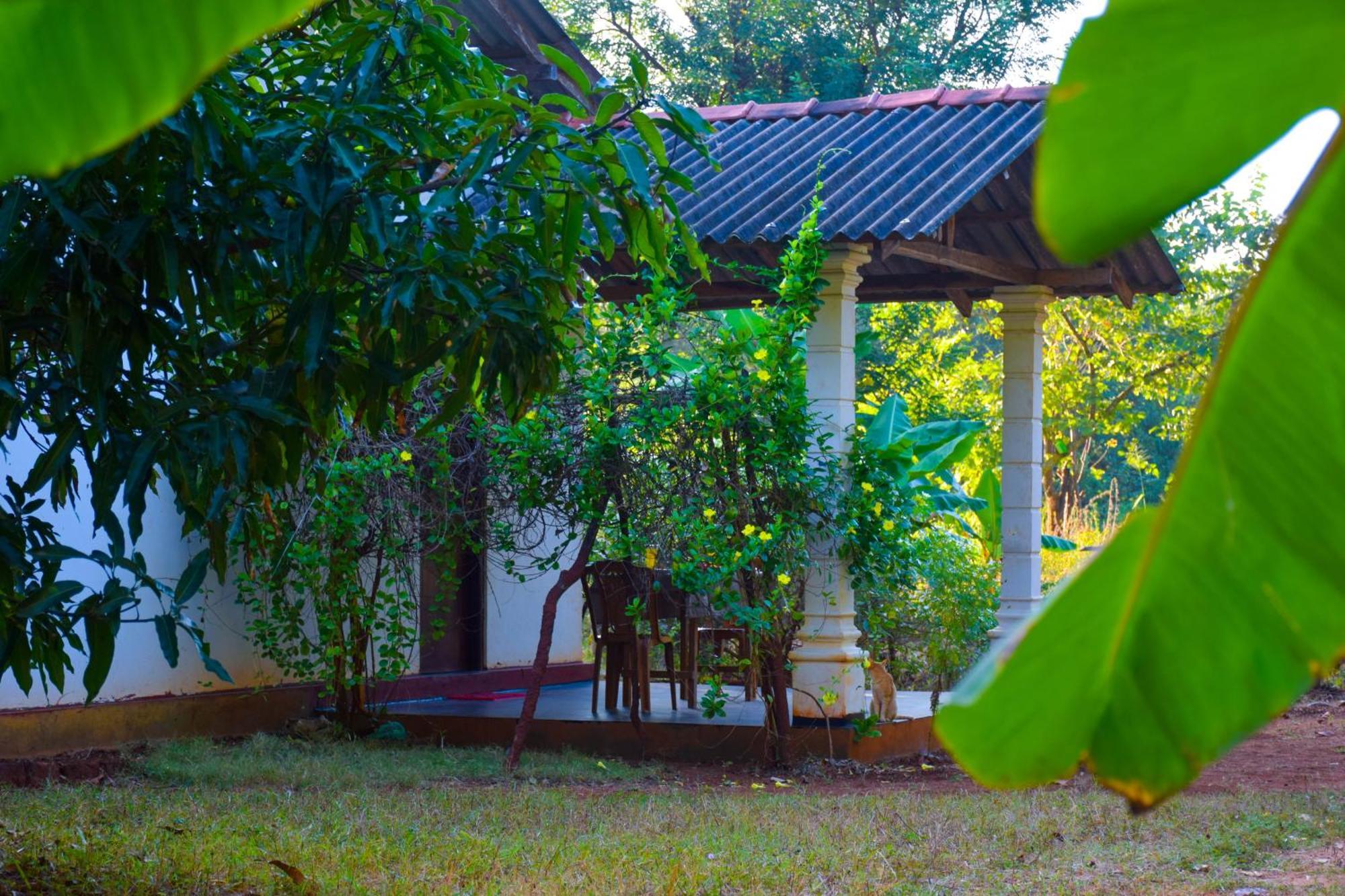 Senu Homestay シギリヤ エクステリア 写真
